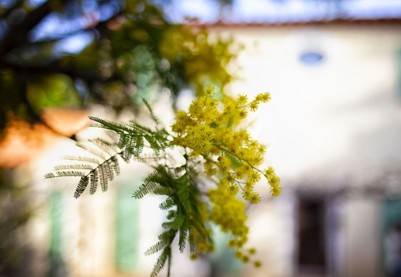 Maison à Ceyreste - Mas des oliviers. Charme & écrin de verdure, clim