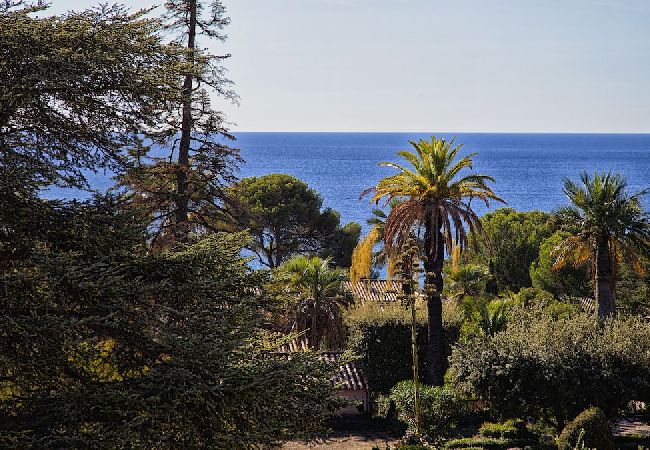 Appartement à La Ciotat - Bali. Clim, vue mer, terrasse, piscine partagée Appartement à La Ciotat - Bali. Clim, vue mer, terrasse, piscine partagée