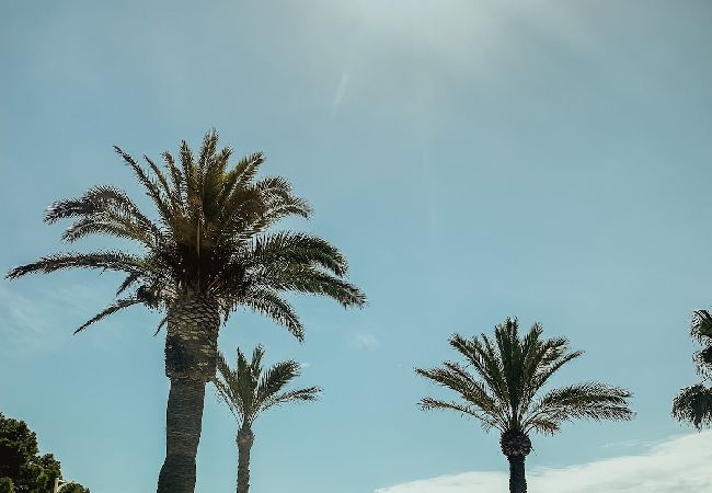 Appartement à La Ciotat - Le Biou, Charme et volupté, T4 vue mer et clim Appartement à La Ciotat - Le Biou, Charme et volupté, T4 vue mer et clim