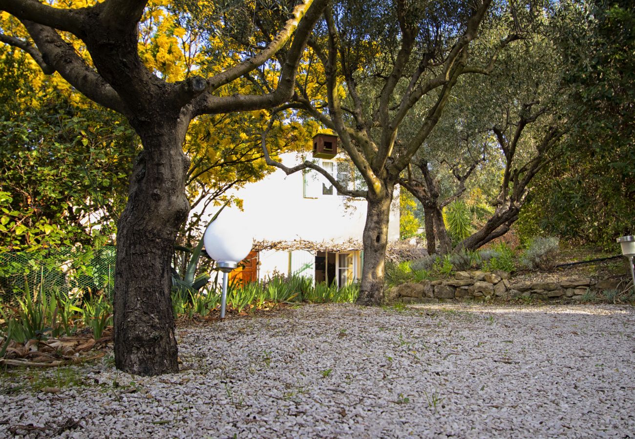 Maison à Ceyreste - Mas des oliviers. Charme & écrin de verdure, clim