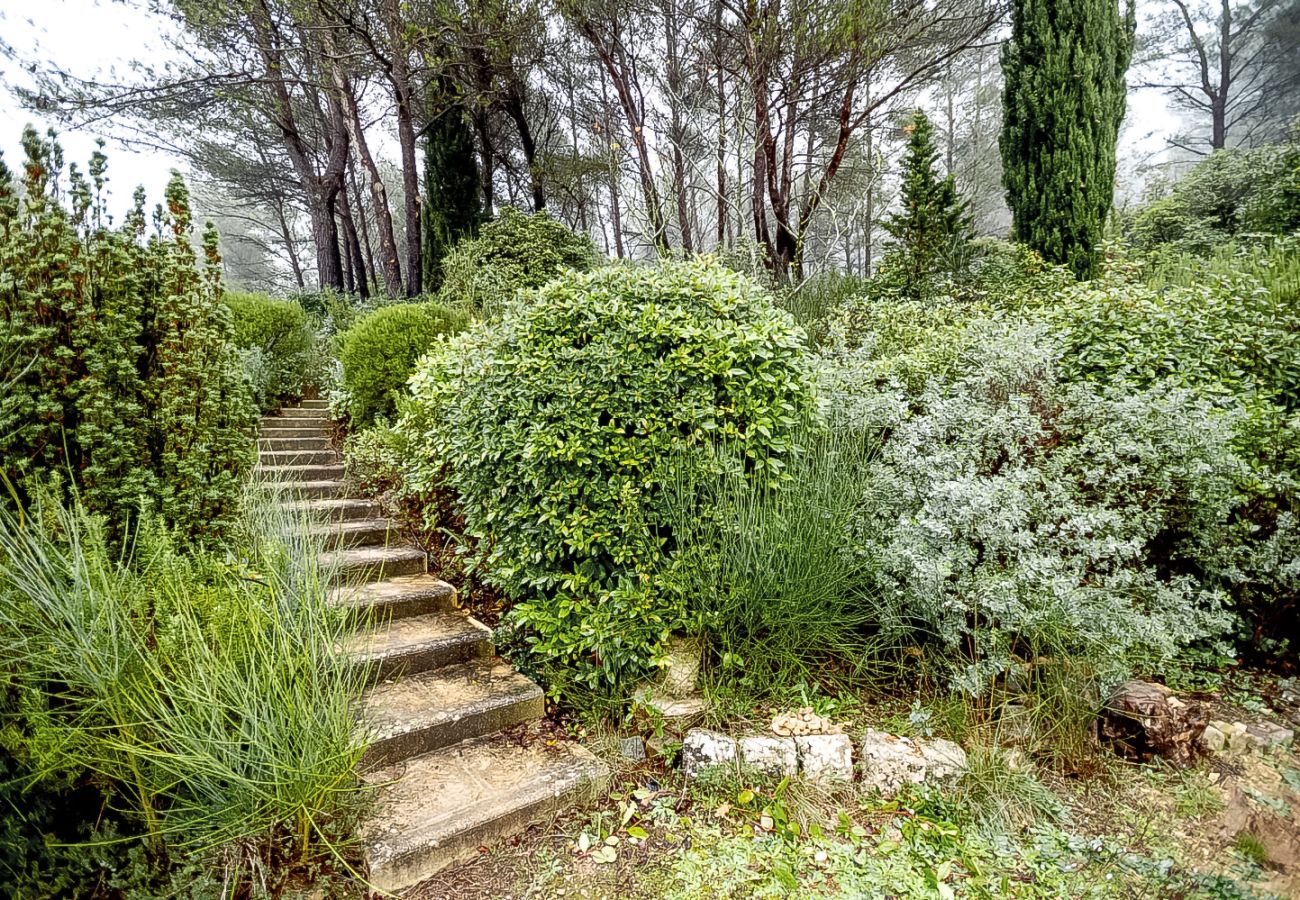 Maison à Roquefort-la-Bédoule - Domaine Maison Blanche, piscine, parc provençal