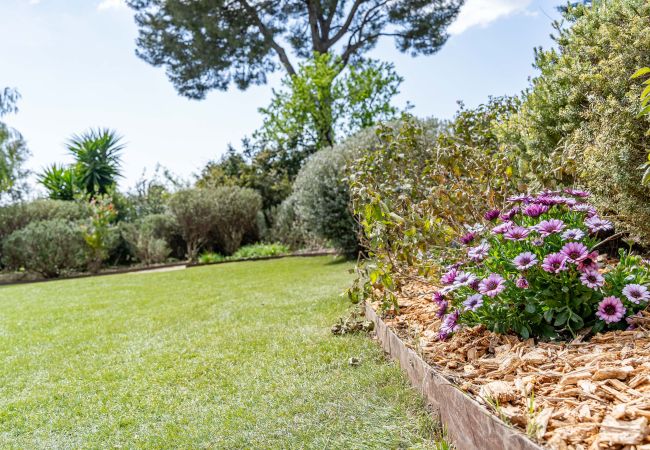 Villa à La Ciotat - Villa Pandora, piscine chauffée, vue mer, jardin Villa à La Ciotat - Villa Pandora, piscine chauffée, vue mer, jardin
